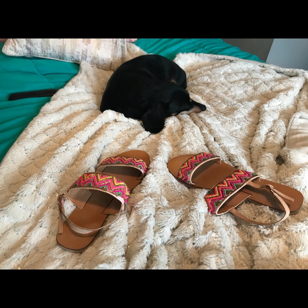 Colorful sandals